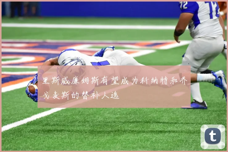 里斯威廉姆斯有望成为科纳特和乔戈麦斯的替补人选