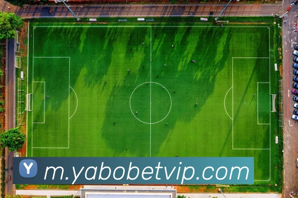 亚博体育平台生态图